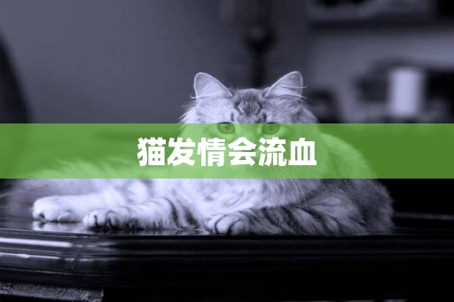 貓發情會流血