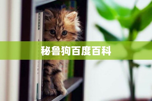秘魯狗百度百科