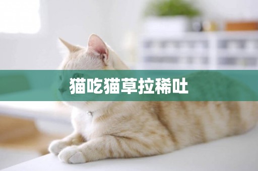 貓吃貓草拉稀吐
