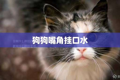 狗狗嘴角掛口水