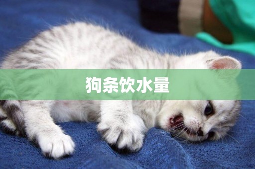 狗條飲水量