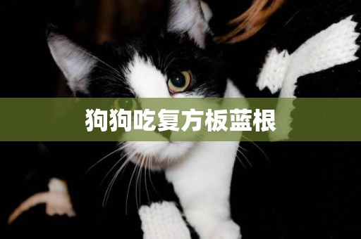 狗狗吃復方板藍根