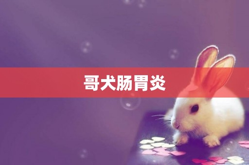 哥犬腸胃炎
