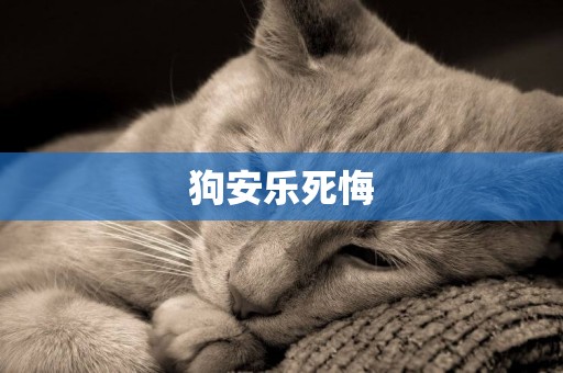 狗安樂死悔