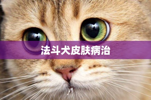 法斗犬皮膚病治