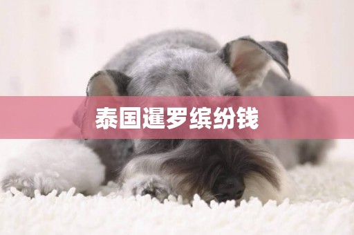 泰國暹羅繽紛錢
