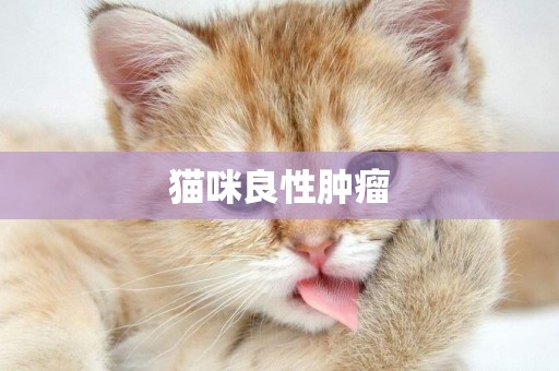 貓咪良性腫瘤