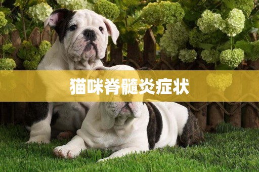 貓咪脊髓炎癥狀