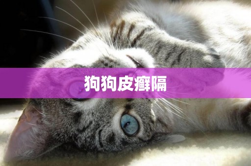 狗狗皮癬隔