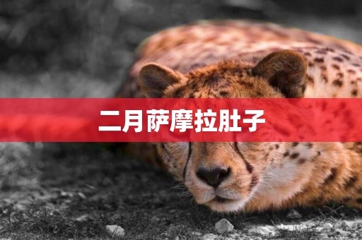 二月薩摩拉肚子