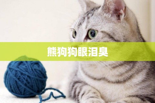 熊狗狗眼淚臭