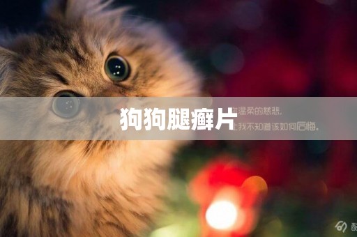 狗狗腿癬片