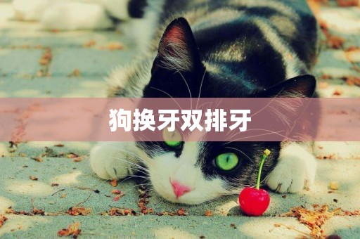 狗換牙雙排牙