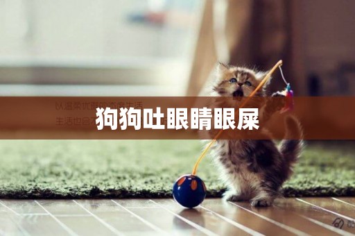 狗狗吐眼睛眼屎