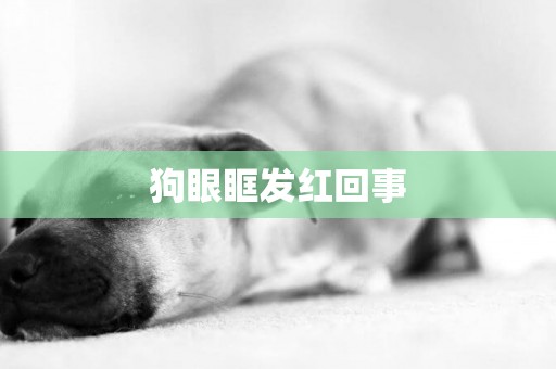 狗眼眶發紅回事