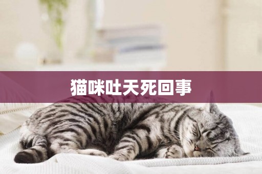 貓咪吐天死回事