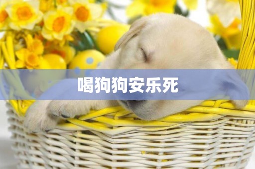 喝狗狗安樂死