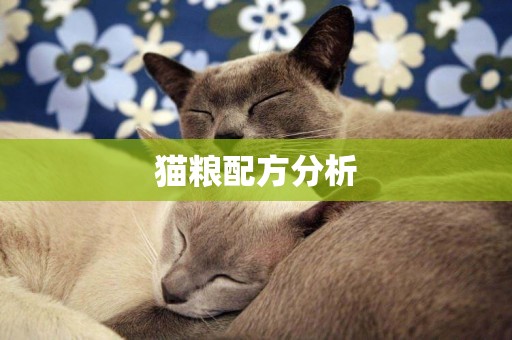 貓糧配方分析