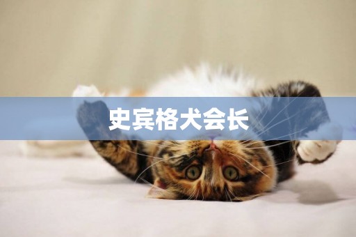 史賓格犬會長