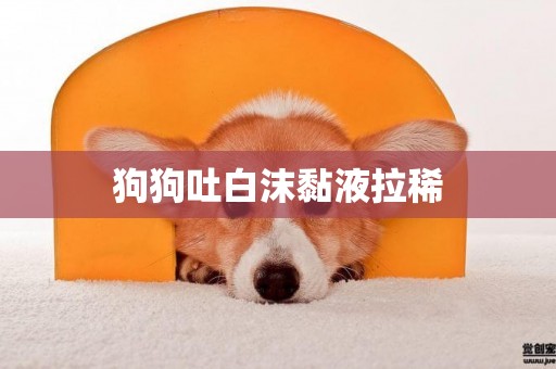 狗狗吐白沫黏液拉稀