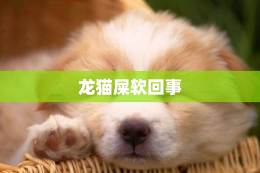 龍貓屎軟回事