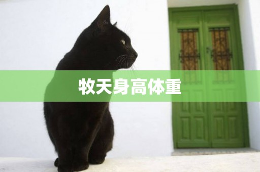牧天身高體重