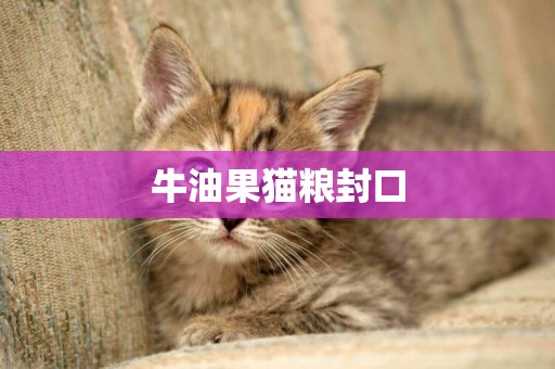 牛油果貓糧封口