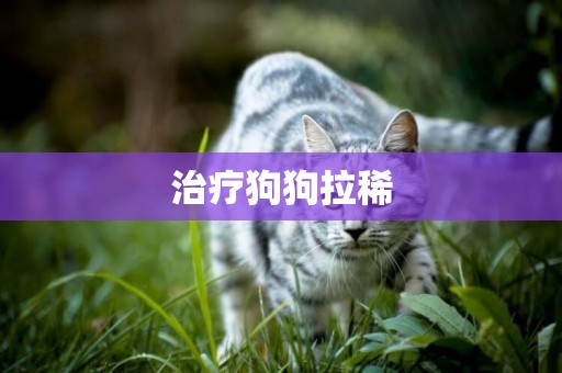 治療狗狗拉稀