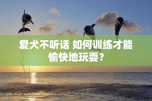愛犬不聽話 如何訓練才能愉快地玩耍？