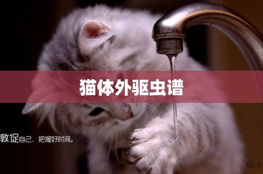 貓體外驅蟲譜