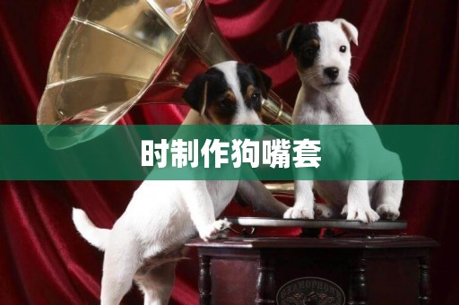 時制作狗嘴套