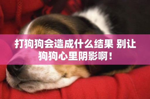 打狗狗會造成什么結果 別讓狗狗心里陰影啊！