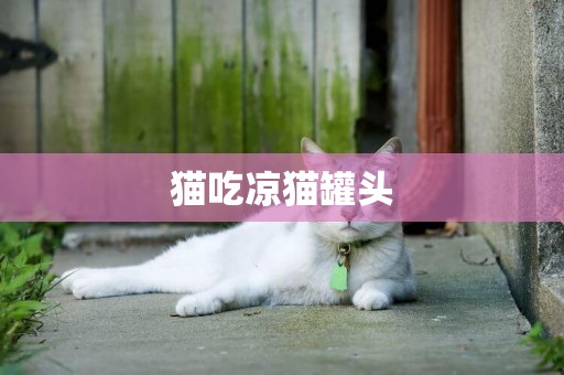 貓吃涼貓罐頭