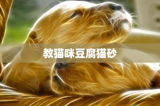 教貓咪豆腐貓砂