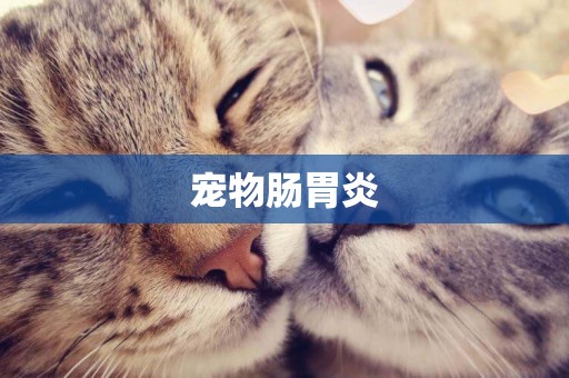 寵物腸胃炎