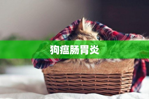 狗瘟腸胃炎