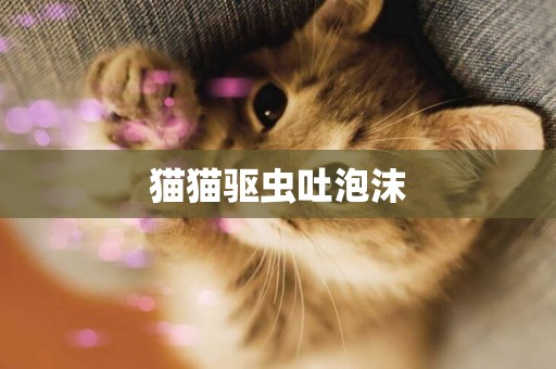 貓貓驅蟲吐泡沫
