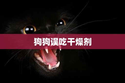狗狗誤吃干燥劑