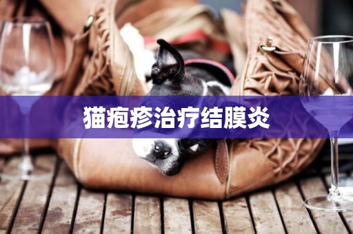 貓皰疹治療結膜炎