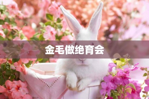 金毛做絕育會