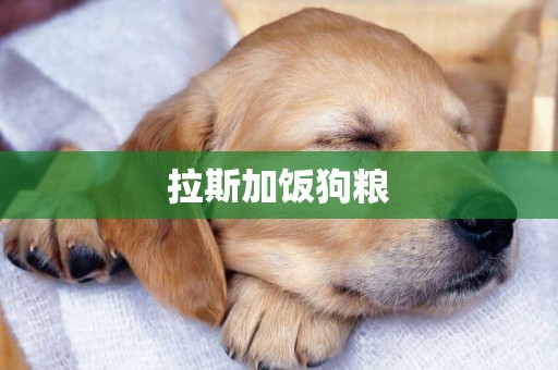 拉斯加飯狗糧