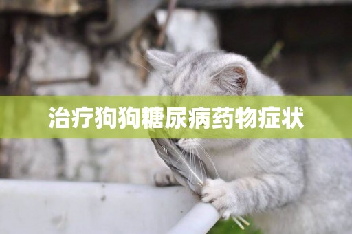 治療狗狗糖尿病藥物癥狀