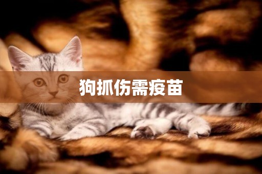 狗抓傷需疫苗