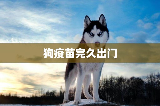 狗疫苗完久出門