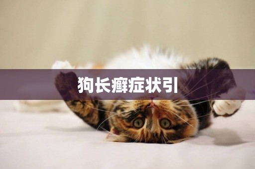 狗長癬癥狀引