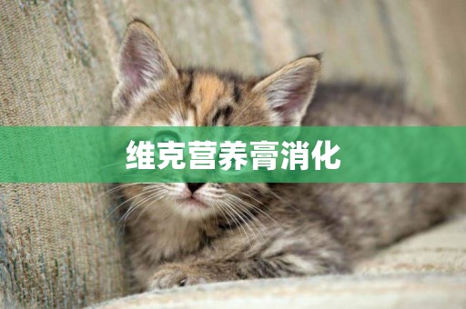 維克營養膏消化