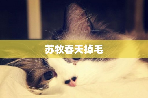 蘇牧春天掉毛