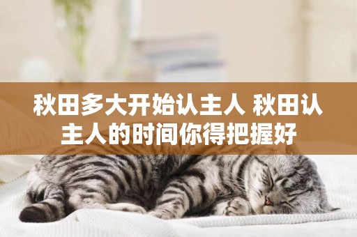 秋田多大開始認主人 秋田認主人的時間你得把握好