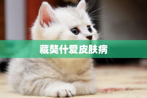 藏獒什愛皮膚病