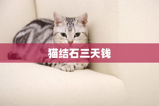 貓結石三天錢